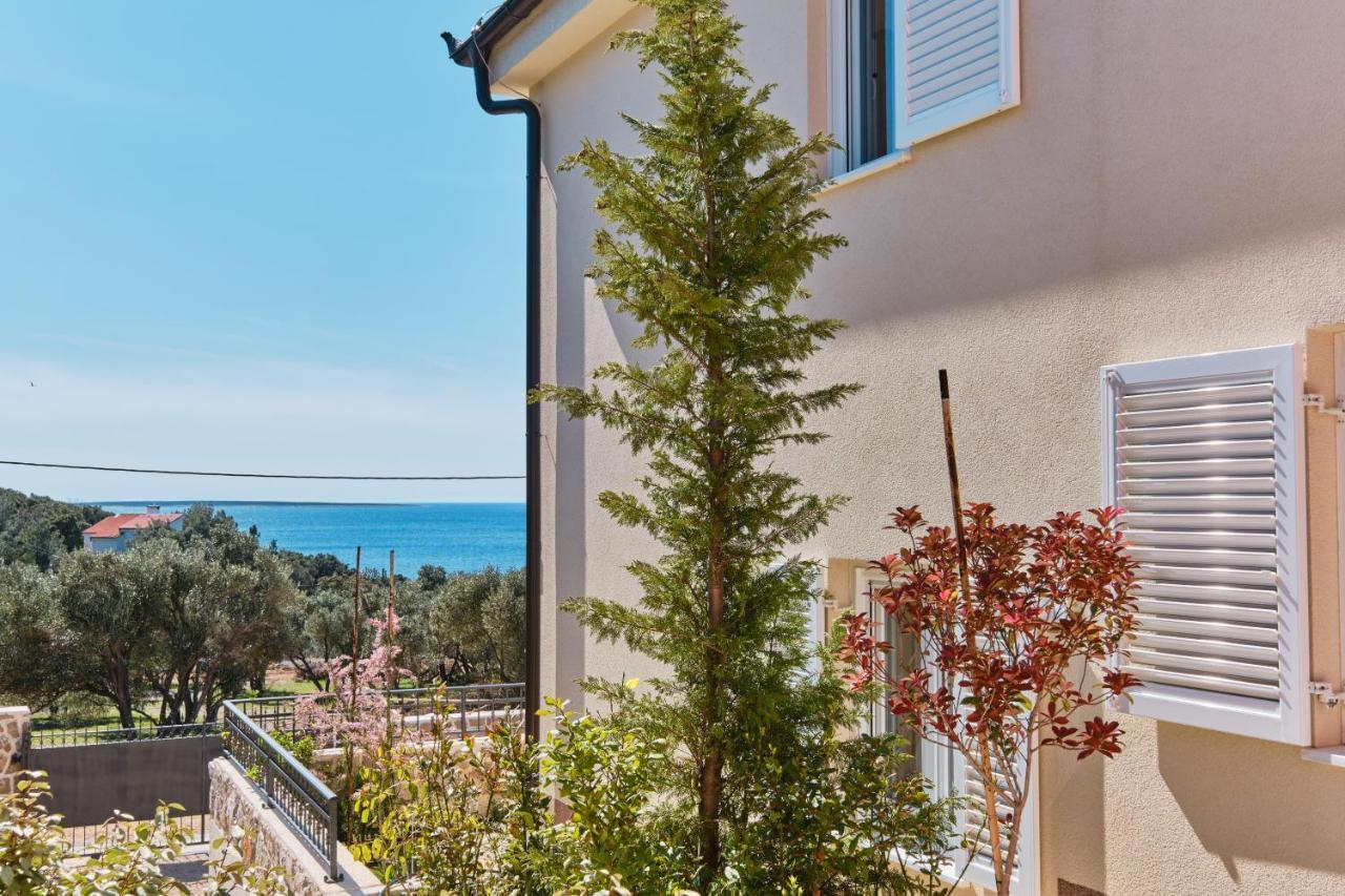 Meacres Sun Βίλα Miholascica Εξωτερικό φωτογραφία